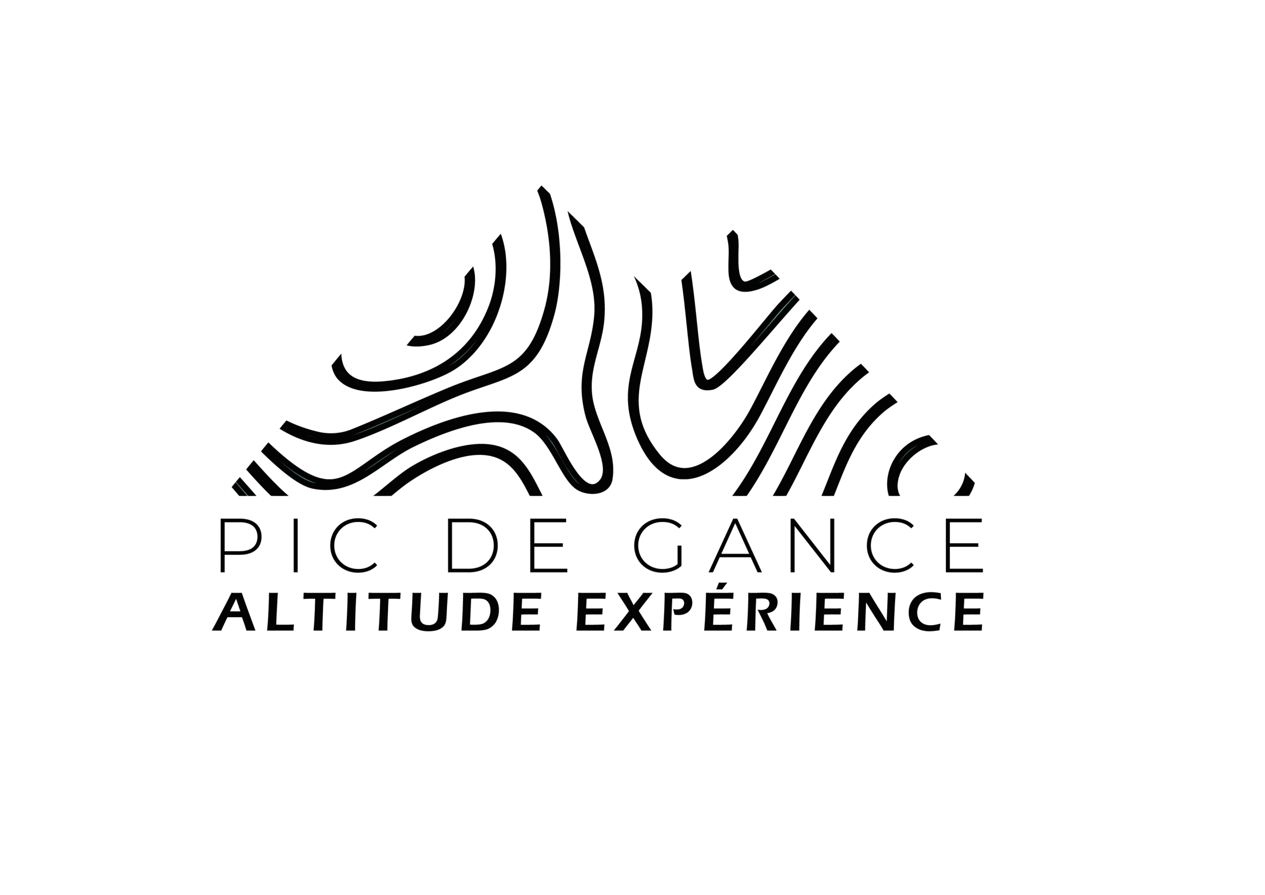 Logo Pic de Gance noir site Beverly Dose, web designer UX UI à Bordeaux – Beverly Design